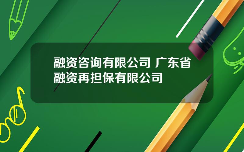 融资咨询有限公司 广东省融资再担保有限公司